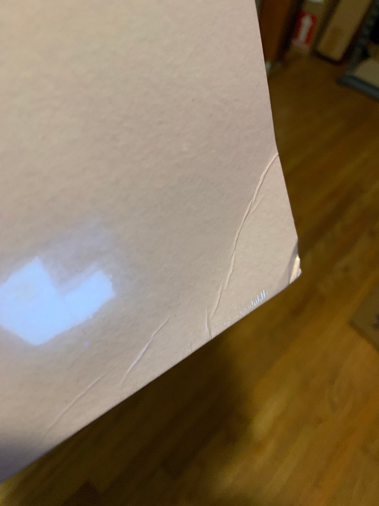 John Calvin Abney - Coyote 12