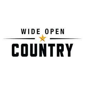 Wide Open Country - Hear John Calvin Abney's Eclectic Statement of Positivity, 'Safe Passage' [Album Premiere]